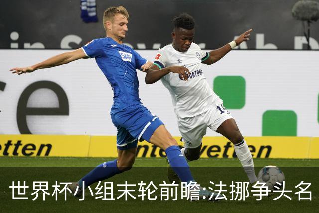 世界杯小组末轮前瞻:法挪争头名 西班牙仍不稳