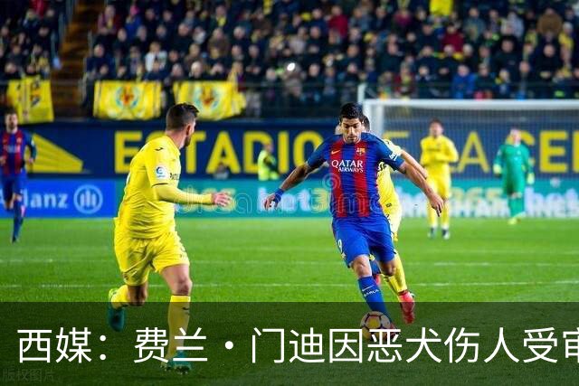 西媒：费兰·门迪因恶犬伤人受审，检方要求处以罚款和半年监禁